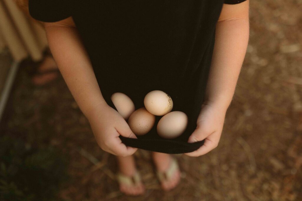 Cedar Rapids Homestead Family Session